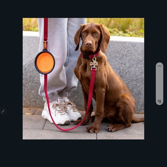 NIP Collapsible Silicone Pet Bowl Pink - Picture 6 of 6